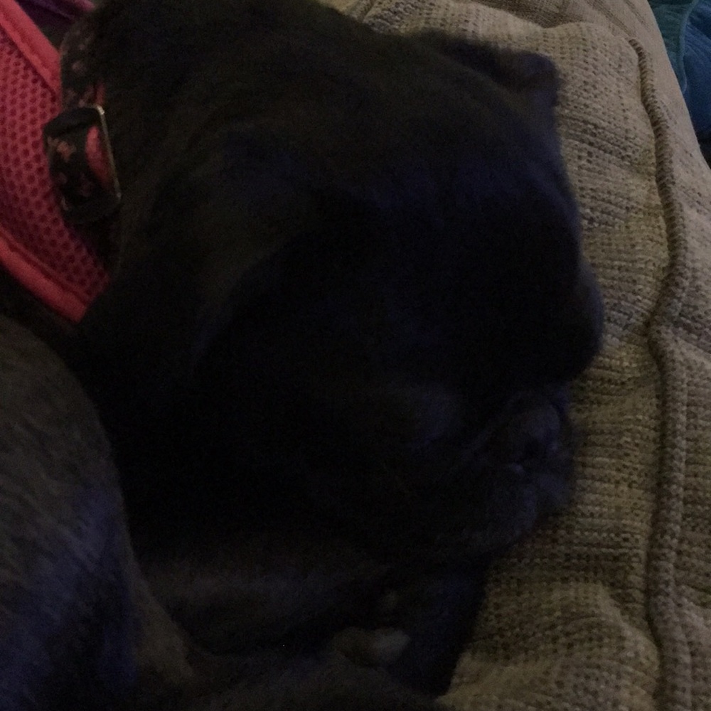 Meet your Posher, Vicky